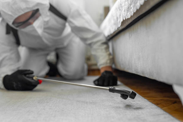 Professional Cockroach Control technician working in Oakwood Hills, IL