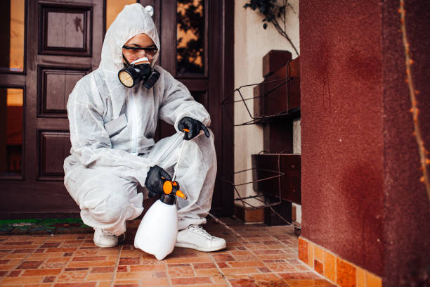 Reliable Cockroach Control contractor in Oakwood Hills, IL by Nex Pest Control